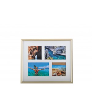 PICTURE FRAME - CHAMPAGN COLOR
