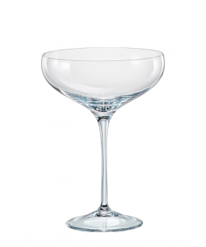 CHAMPAGNE COUPE - SET OF 6