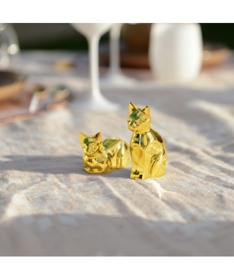 Salt and pepper shakers golden cat