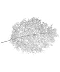 Silver leaf placemat