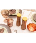 Wooden salt and pepper shaker set