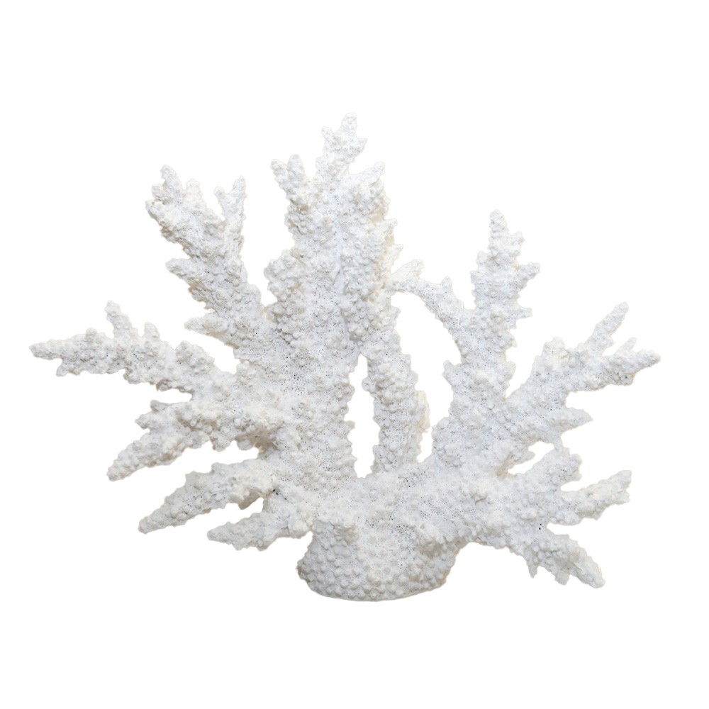 Decorative white coral 34x13x27cm