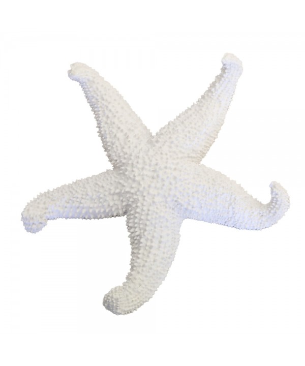 Étoile de mer blanche décorative 24x24x5cm