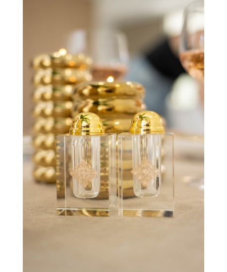 Gilded medallion crystal salt and pepper shakers