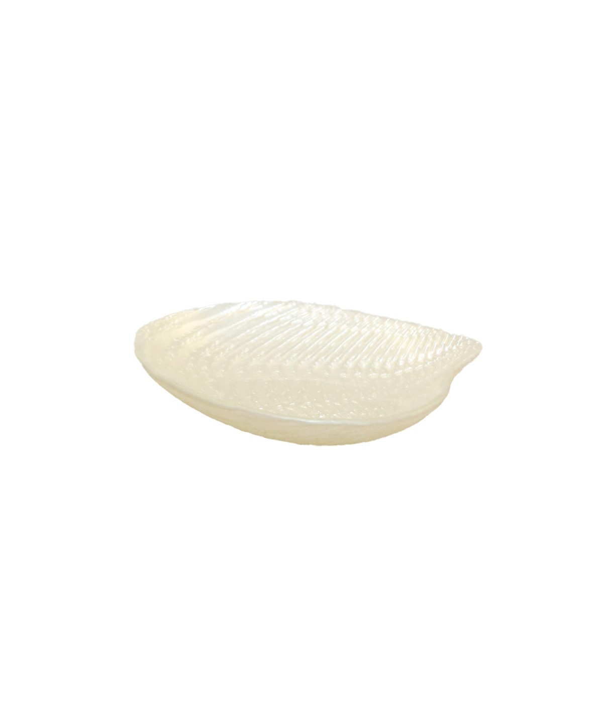 White pearl shell bowl 14x13x2.5cm