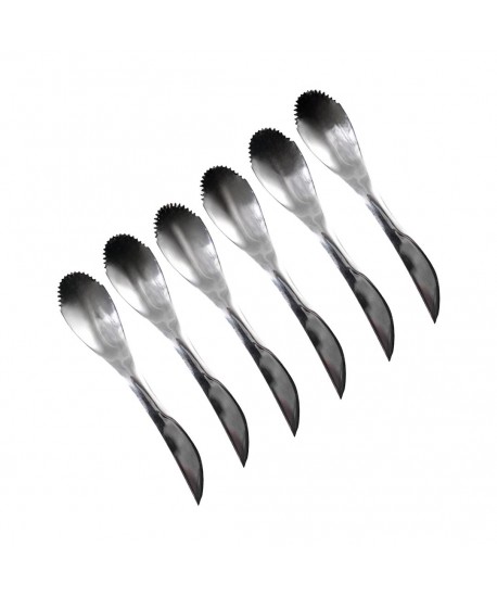 Set 6 cuillères Inox kiwi/pamplemousse