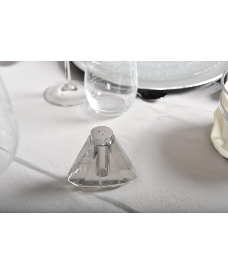 Salt and pepper shaker