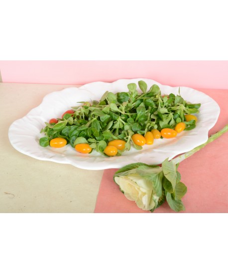 Plat ovale blanc en mélamine 50x40x2cm