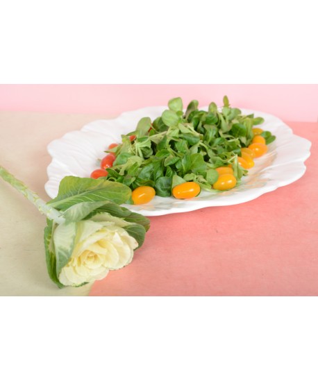 Plat ovale blanc en mélamine 50x40x2cm