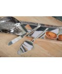 Pelle et couteau à tarte argent