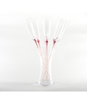 Flûtes pied rouge avec support - lot de 6