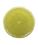 Assiette de présentation verte 34cm - citron