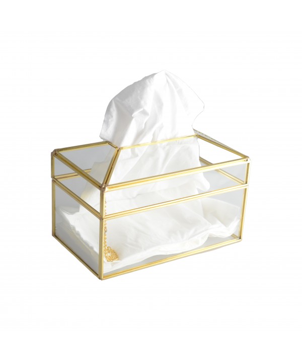 Square transparent tissue box with golden rim 23x13x13cm