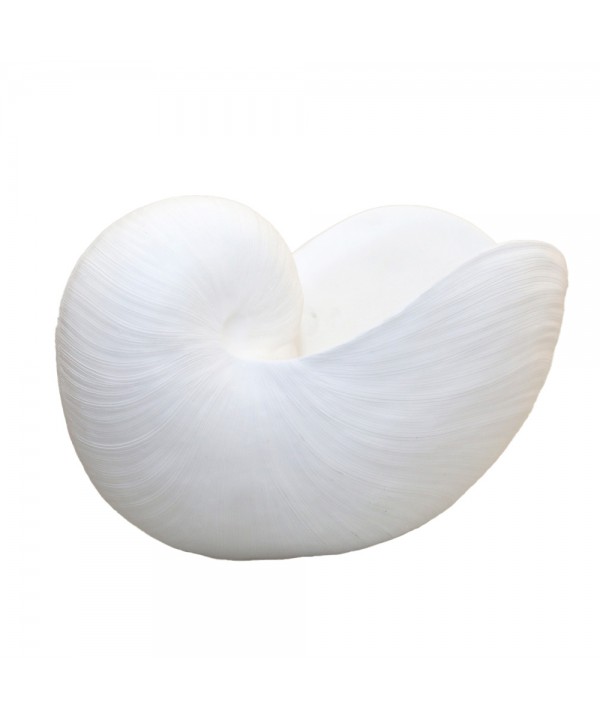Decorative white seashell 28 x 15 x 17cm