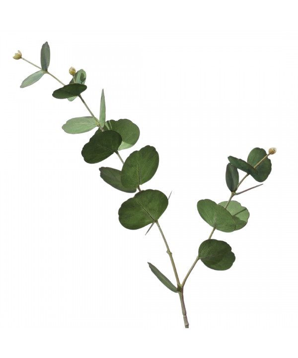 Light green leaf decorative flower h73cm