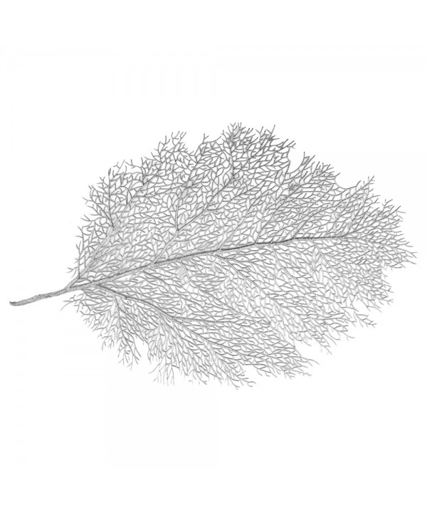 Silver leaf placemat