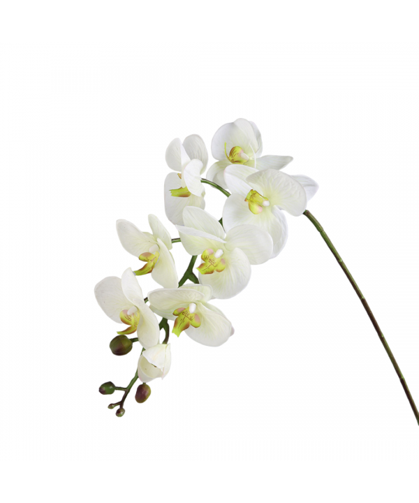 White orchid decorative flower h100cm