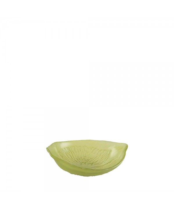 Bol à soupe vert - citron